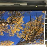 custom mural printing