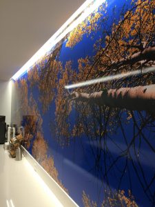 Custom Wall Mural Installed